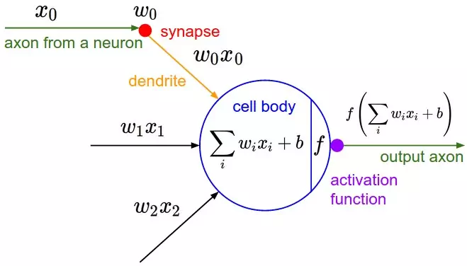 Perceptron 2