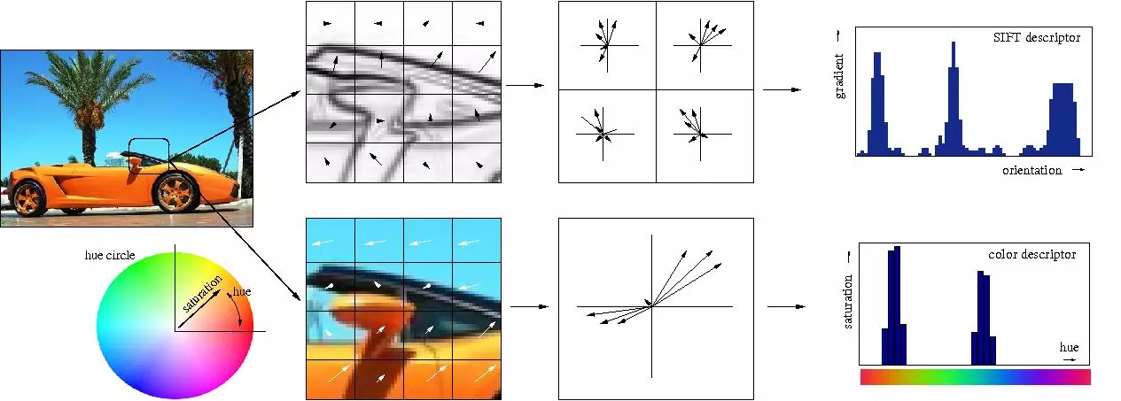 Feature extraction